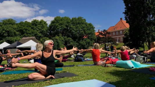Nordic Yoga Festival går online